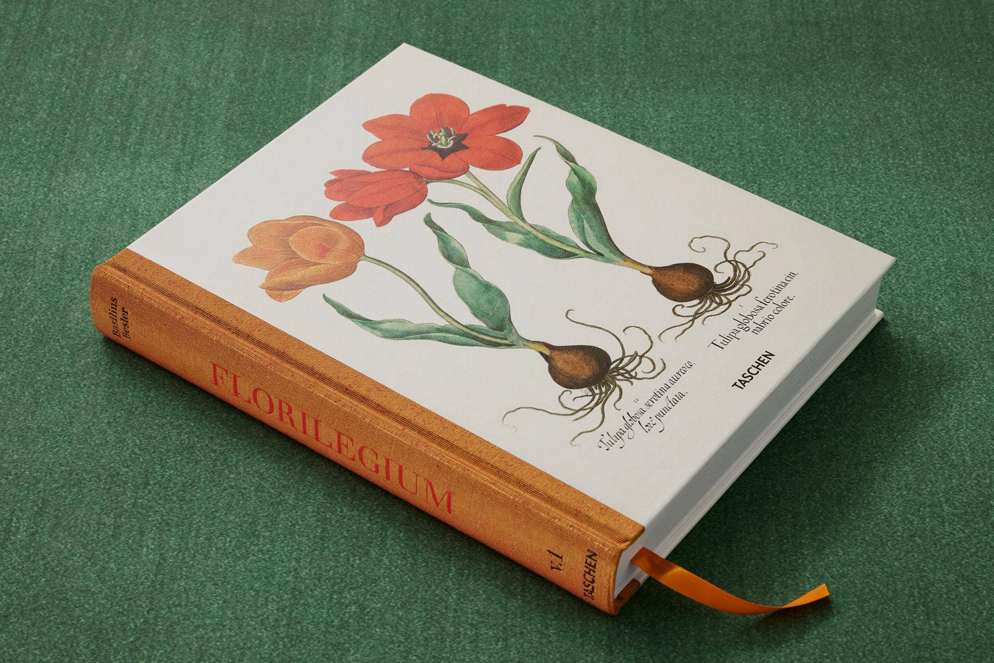 TASCHEN America - Basilius Besler. The Garden at Eichstätt (German, French, English) (FFE) - PMA Store at the Portland Museum of Art, Maine