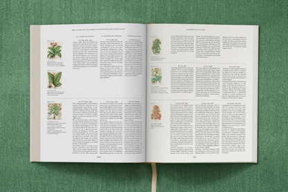 TASCHEN America - Basilius Besler. The Garden at Eichstätt (German, French, English) (FFE) - PMA Store at the Portland Museum of Art, Maine