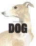 Chronicle Books - The Book of the Dog - PMA Store at the Portland Museum of Art, Maine