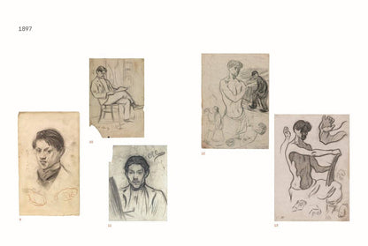 W. W. Norton - Picasso: The Self-Portraits: Hardcover - PMA Store at the Portland Museum of Art, Maine