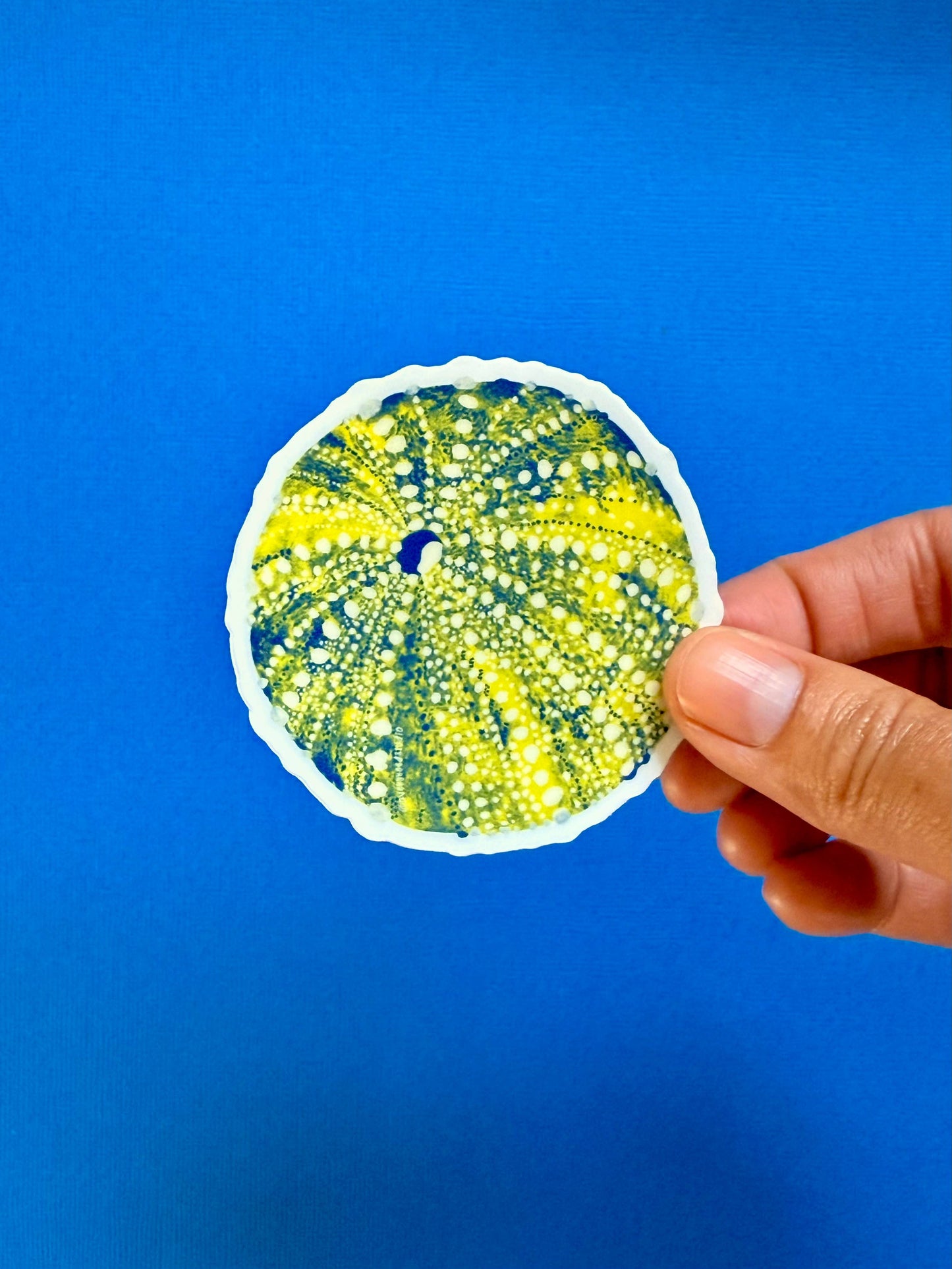 Avery Reed - Sea Urchin Die-Cut Sticker