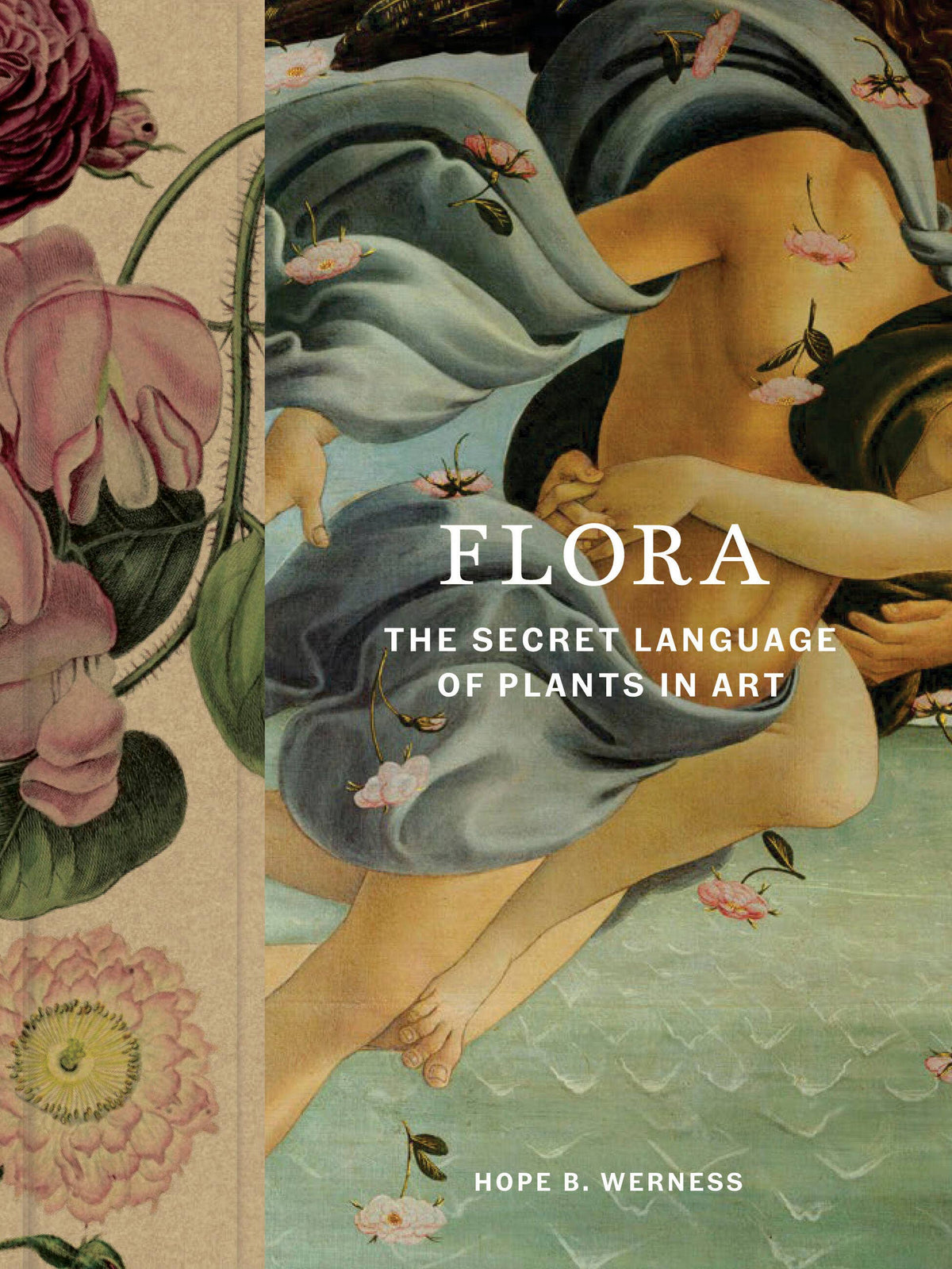 Hachette Book Group - Flora: Hardcover