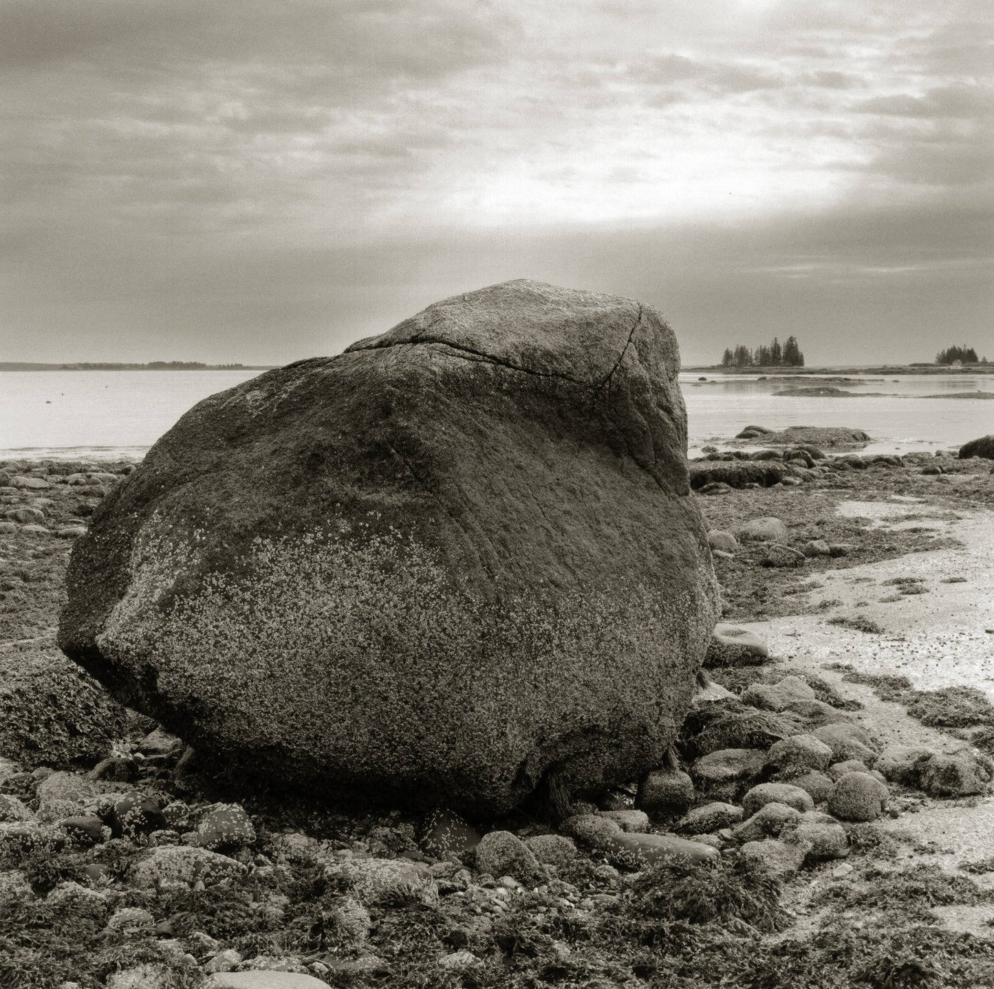 Schiffer Publishing - The Maine Coast - PMA Store at the Portland Museum of Art, Maine