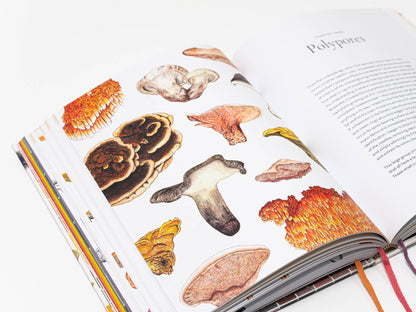 Chronicle Books - Mushroom Color Atlas - PMA Store at the Portland Museum of Art, Maine