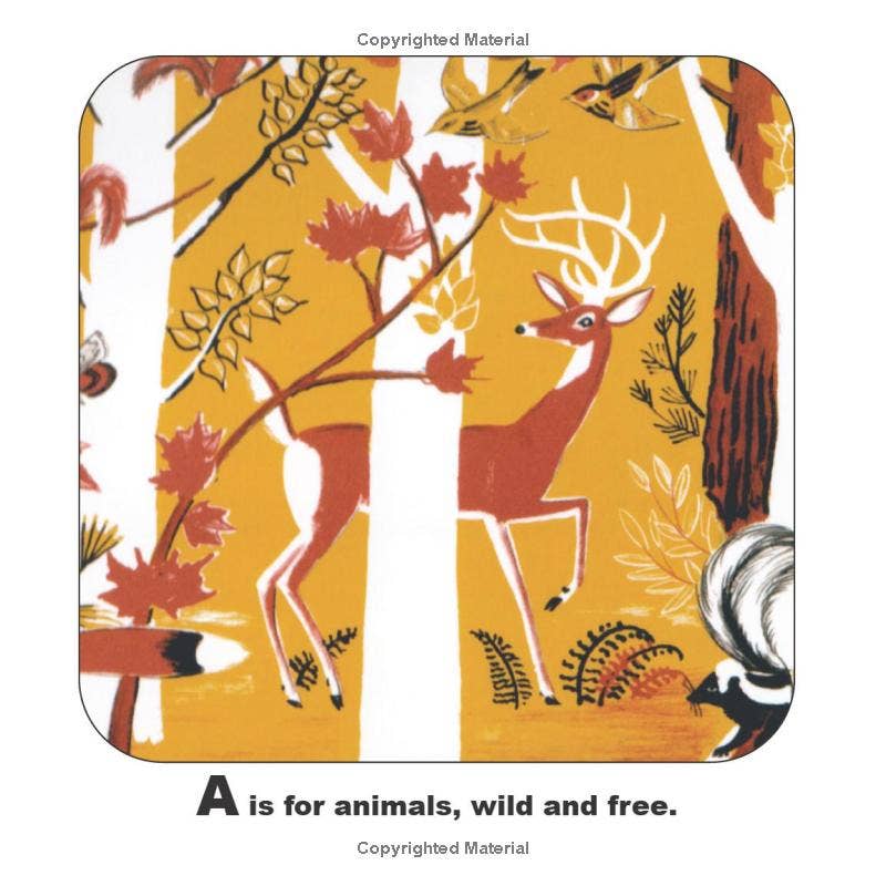 Dahlov Ipcar's Maine Alphabet - PMA Store at the Portland Museum of Art, Maine