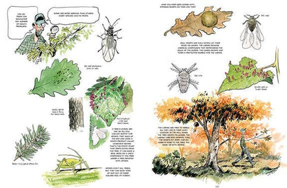 The Hidden Life of Trees: A Graphic Adaptation. Hardcover - PMA Store at the Portland Museum of Art, Maine