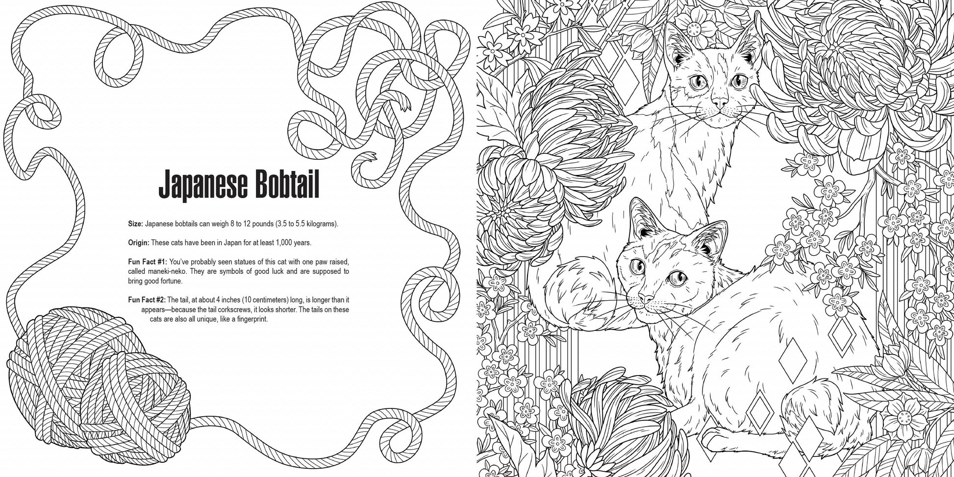 Penguin Random House LLC - Cats: A Smithsonian Coloring Book - PMA Store at the Portland Museum of Art, Maine