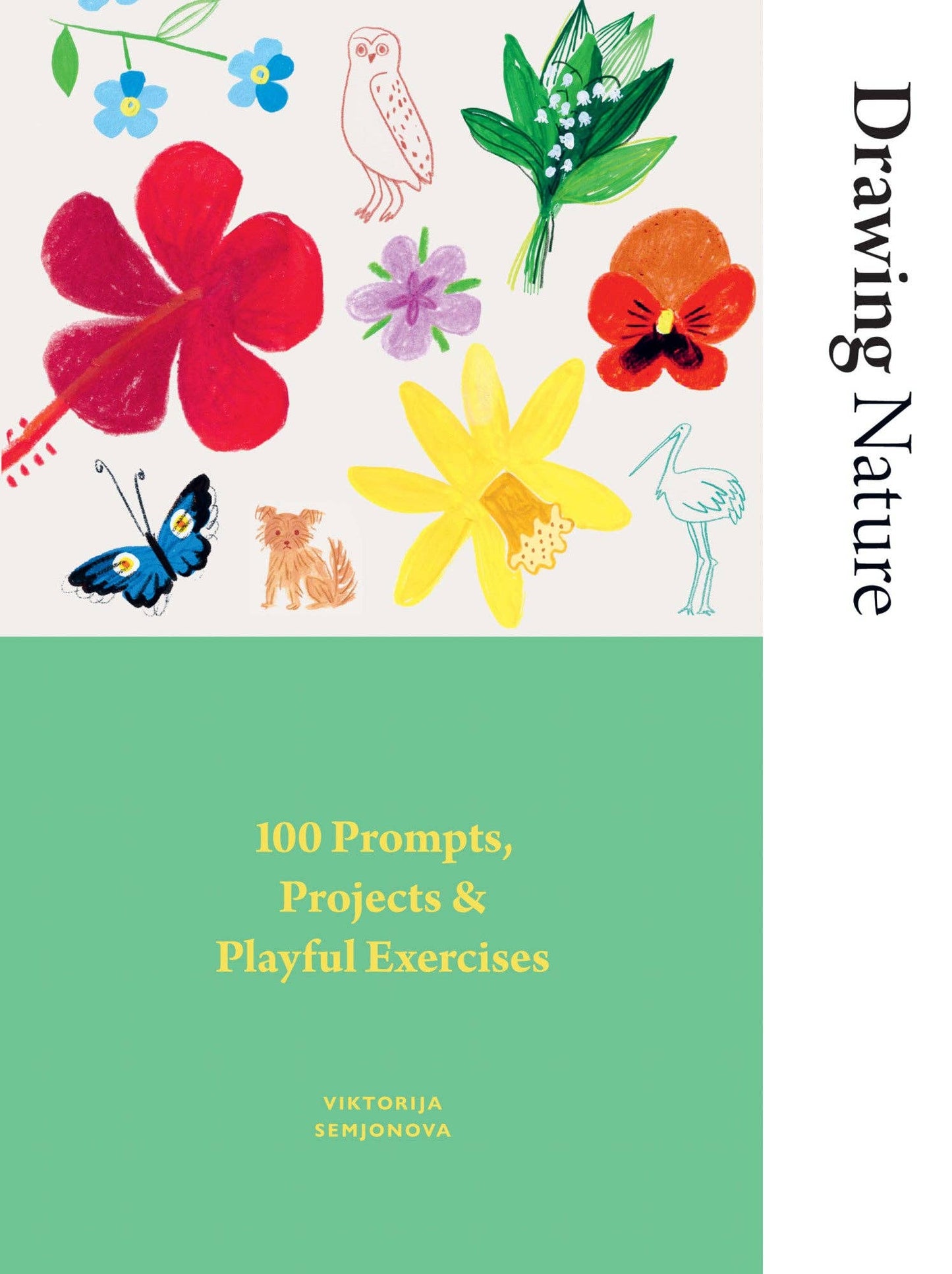 Chronicle Books - Drawing Nature: 100 Prompts, Projects and Playful Exercises - PMA Store at the Portland Museum of Art, Maine