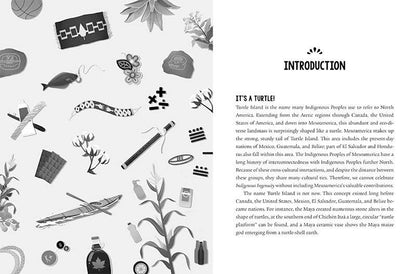 Hachette Book Group - Indigenous Ingenuity: Trade Paperback