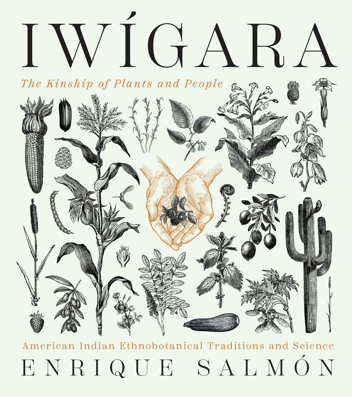 Hachette Book Group - Iwigara: Hardcover