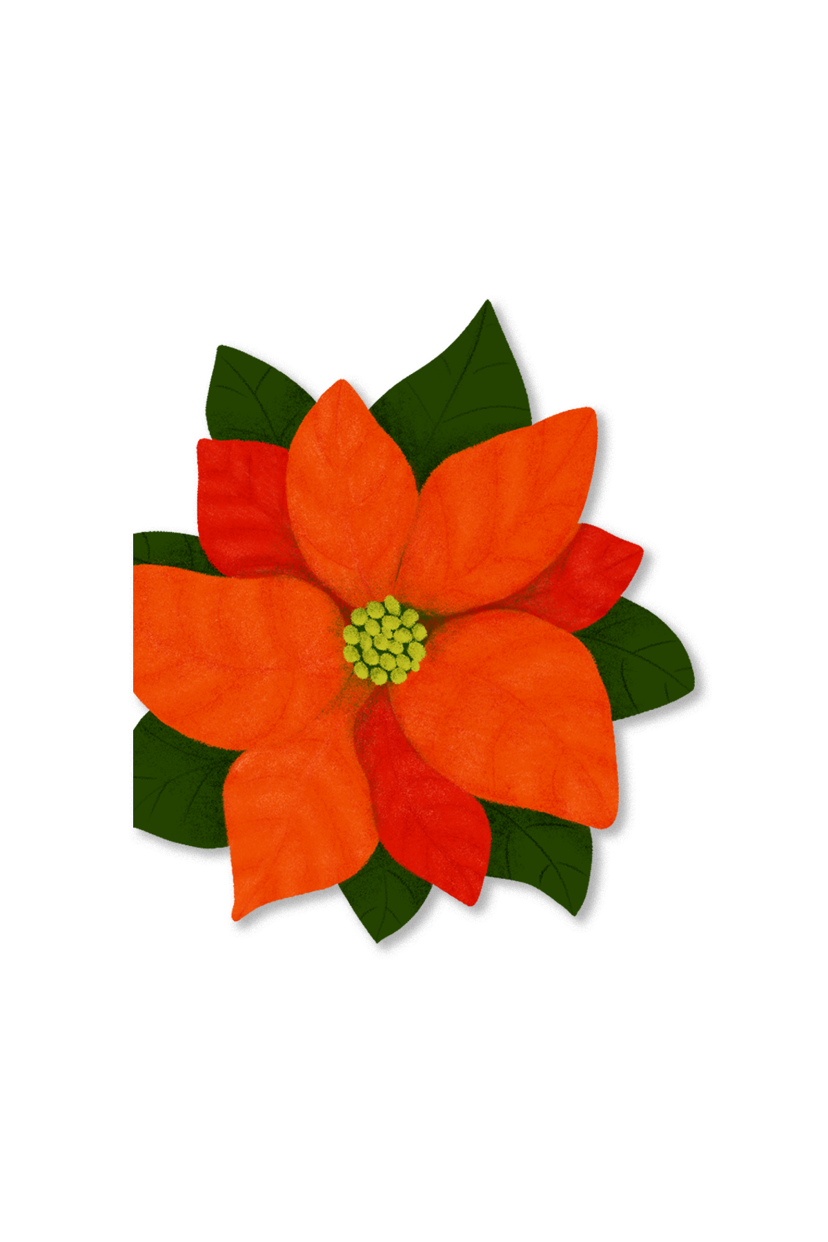 Avery Reed - Poinsetta Die-Cut Greeting Card