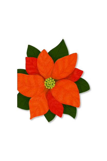Avery Reed - Poinsetta Die-Cut Greeting Card