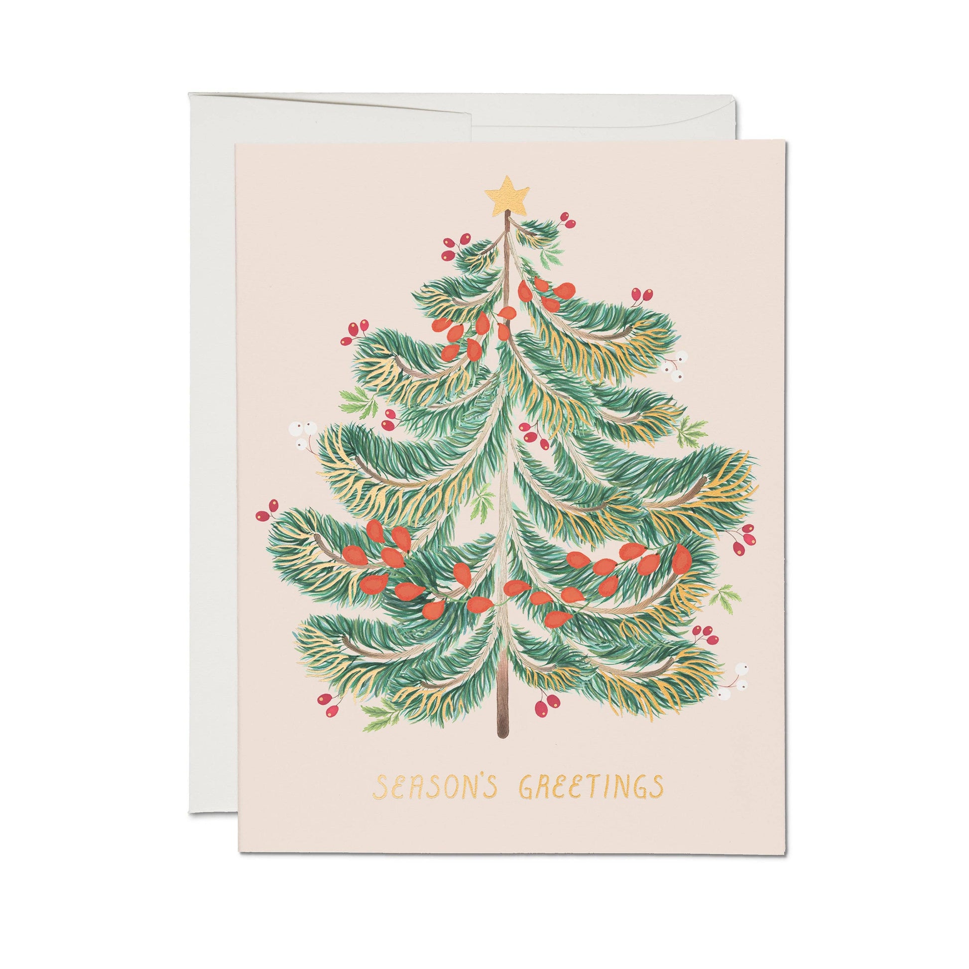 Festive Evergreen holiday greeting card: Single - PMA Store at the Portland Museum of Art, Maine