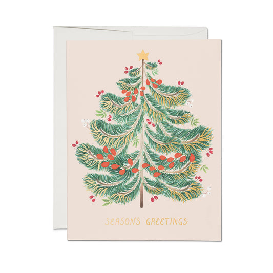 Festive Evergreen holiday greeting card: Single - PMA Store at the Portland Museum of Art, Maine