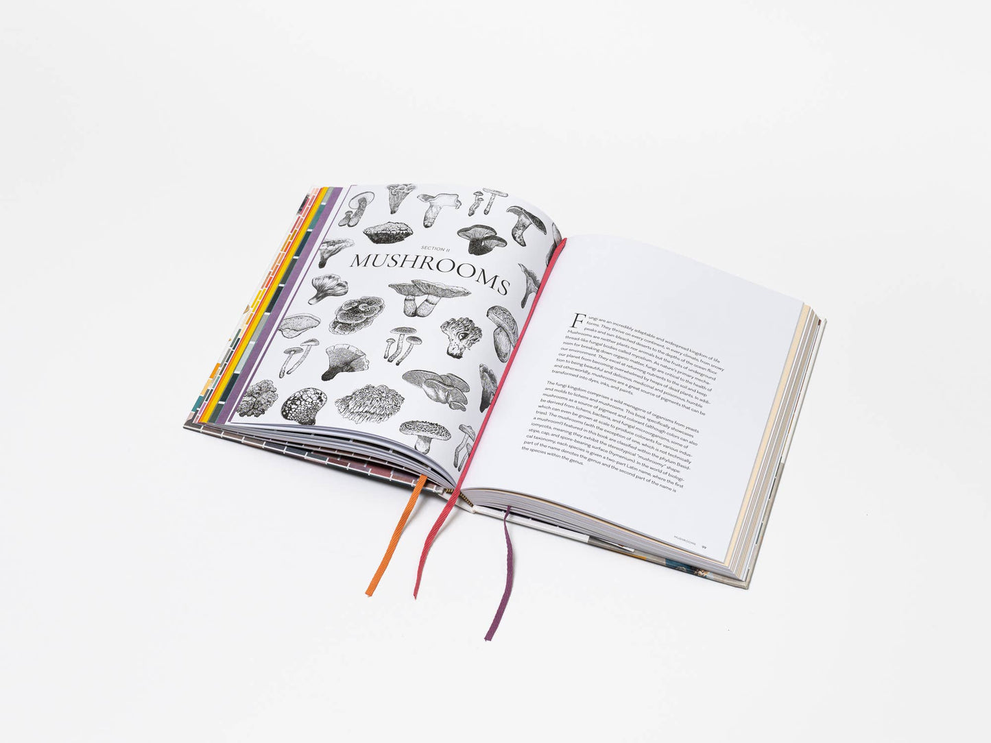 Chronicle Books - Mushroom Color Atlas - PMA Store at the Portland Museum of Art, Maine
