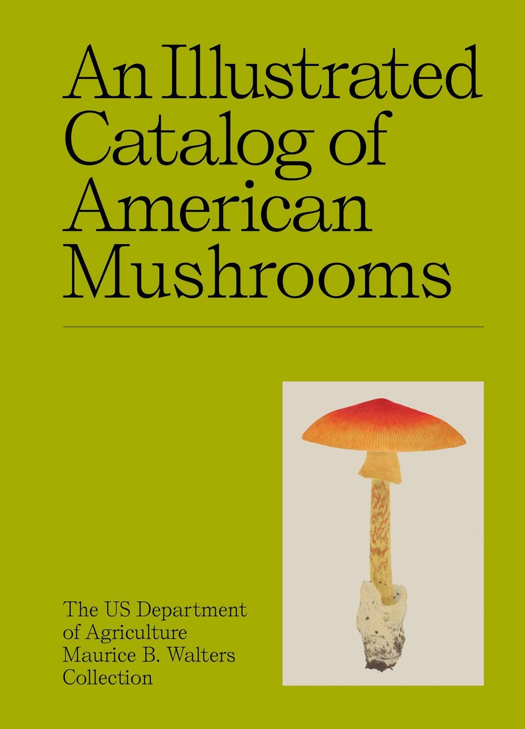 Hachette Book Group - An Illustrated Catalog of American Mushrooms: Hardcover