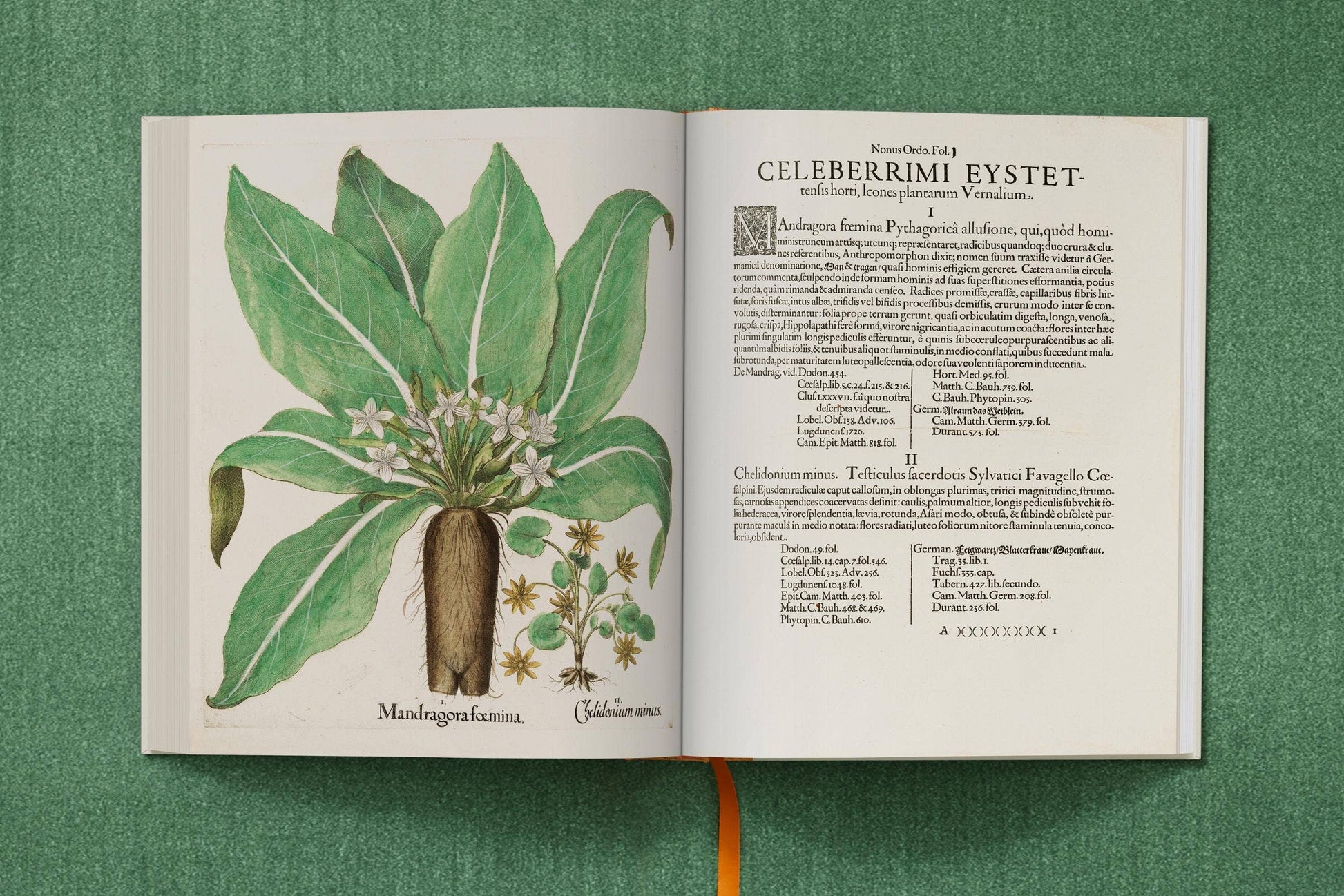 TASCHEN America - Basilius Besler. The Garden at Eichstätt (German, French, English) (FFE) - PMA Store at the Portland Museum of Art, Maine