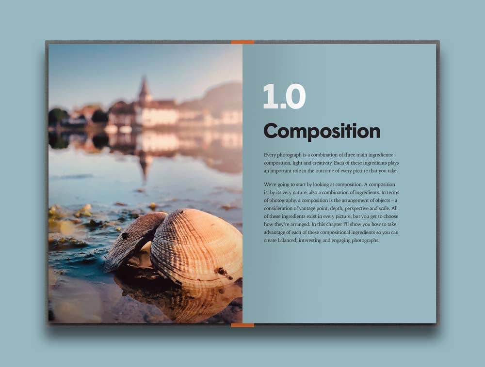 Chronicle Books - The Pocket Photographer - PMA Store at the Portland Museum of Art, Maine