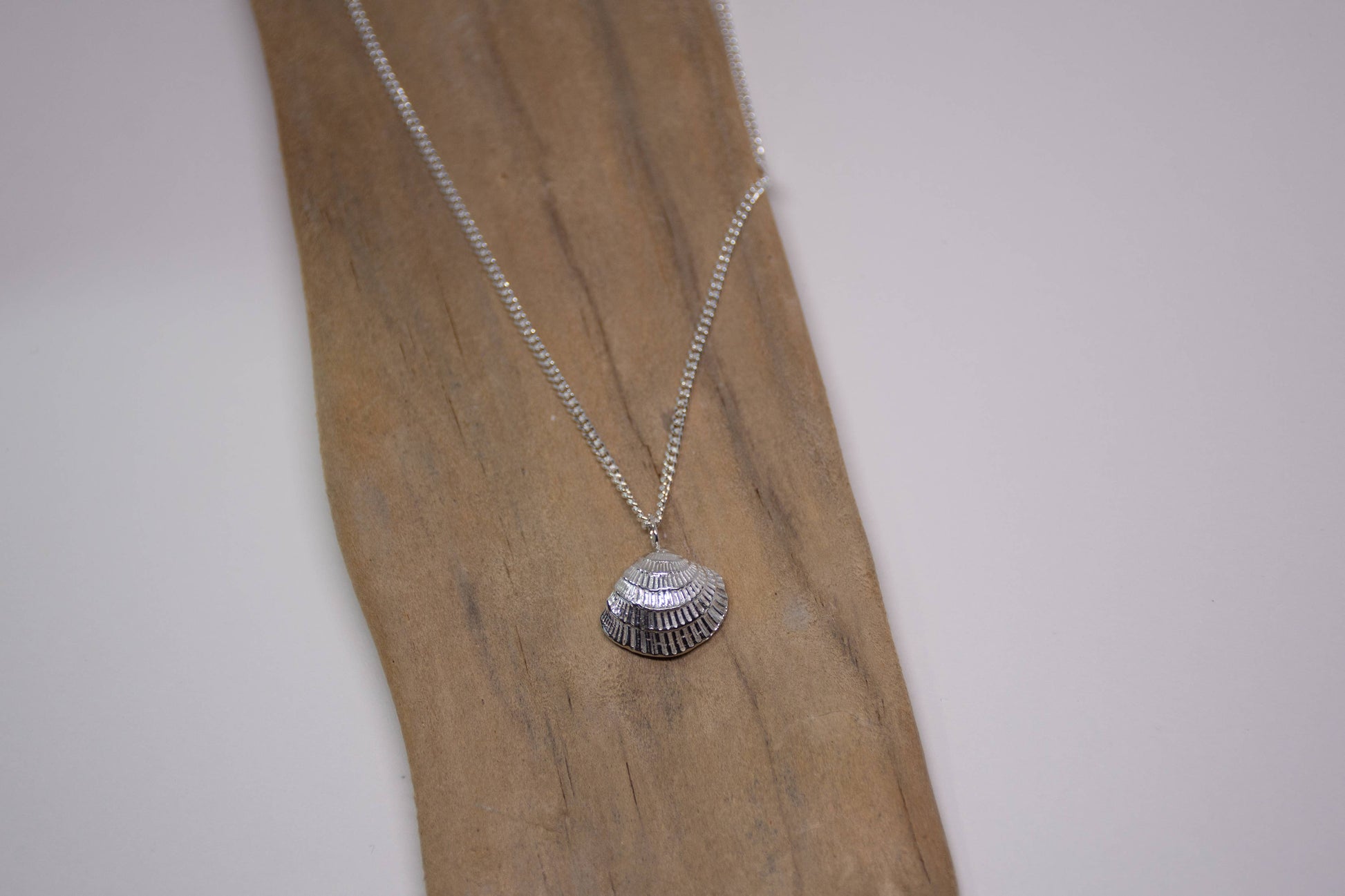 Sea Salt & Silver - Radial Clam Shell Necklace - PMA Store at the Portland Museum of Art, Maine