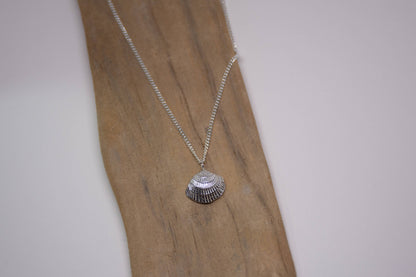 Sea Salt & Silver - Radial Clam Shell Necklace - PMA Store at the Portland Museum of Art, Maine
