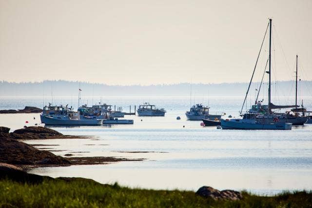 Hachette Book Group - A Kitchen on Goose Cove: Recipes from the Heart of Maine: Hardcover