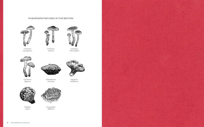 Chronicle Books - Mushroom Color Atlas - PMA Store at the Portland Museum of Art, Maine