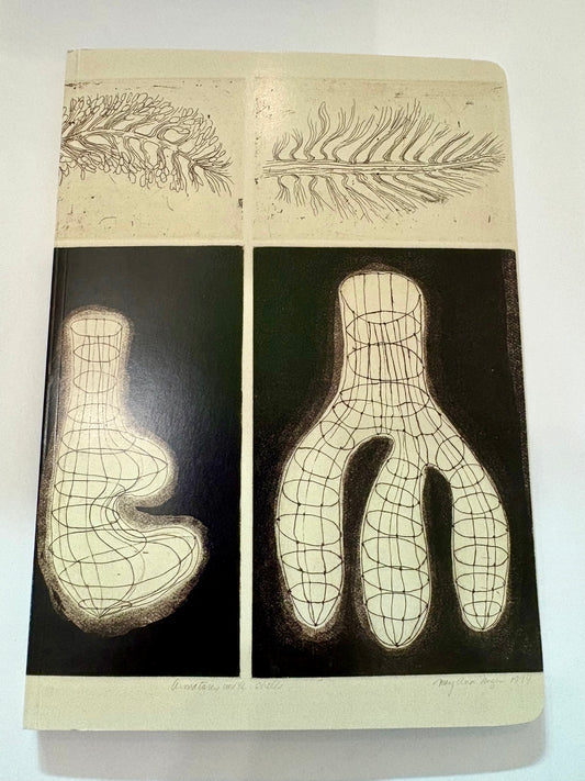 Journal: Armature with Shells 5.5 x 7.75 (+collection) - PMA Store at the Portland Museum of Art, Maine