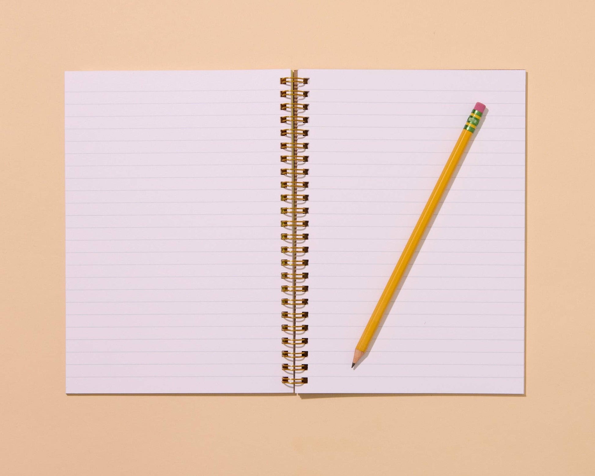 And Here We Are - Letterpress A5 Spiral Notebook—Rainbow Trout (Colorful Fish) - PMA Store at the Portland Museum of Art, Maine