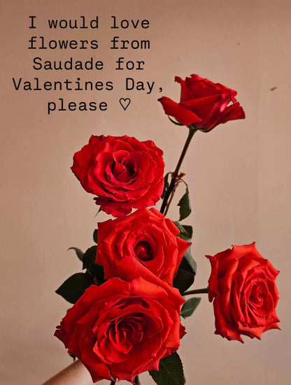 Valentines Day Online Promo for One ❤️ - PMA Store at the Portland Museum of Art, Maine