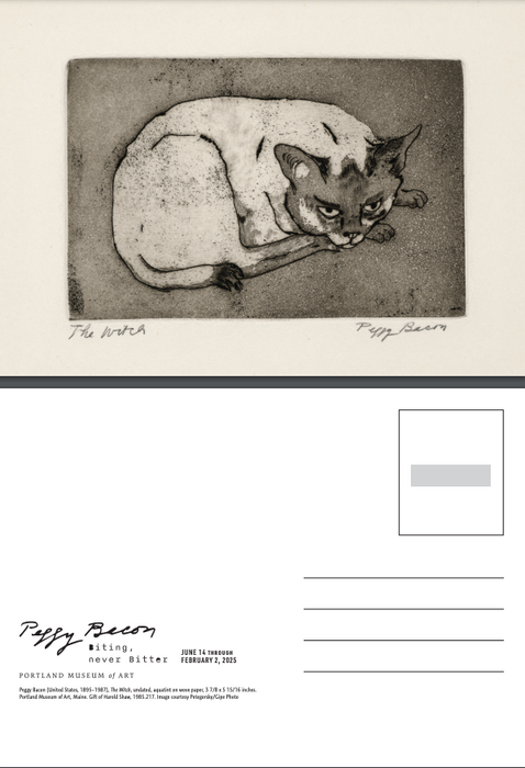 Peggy Bacon Postcard The Witch (Cat)