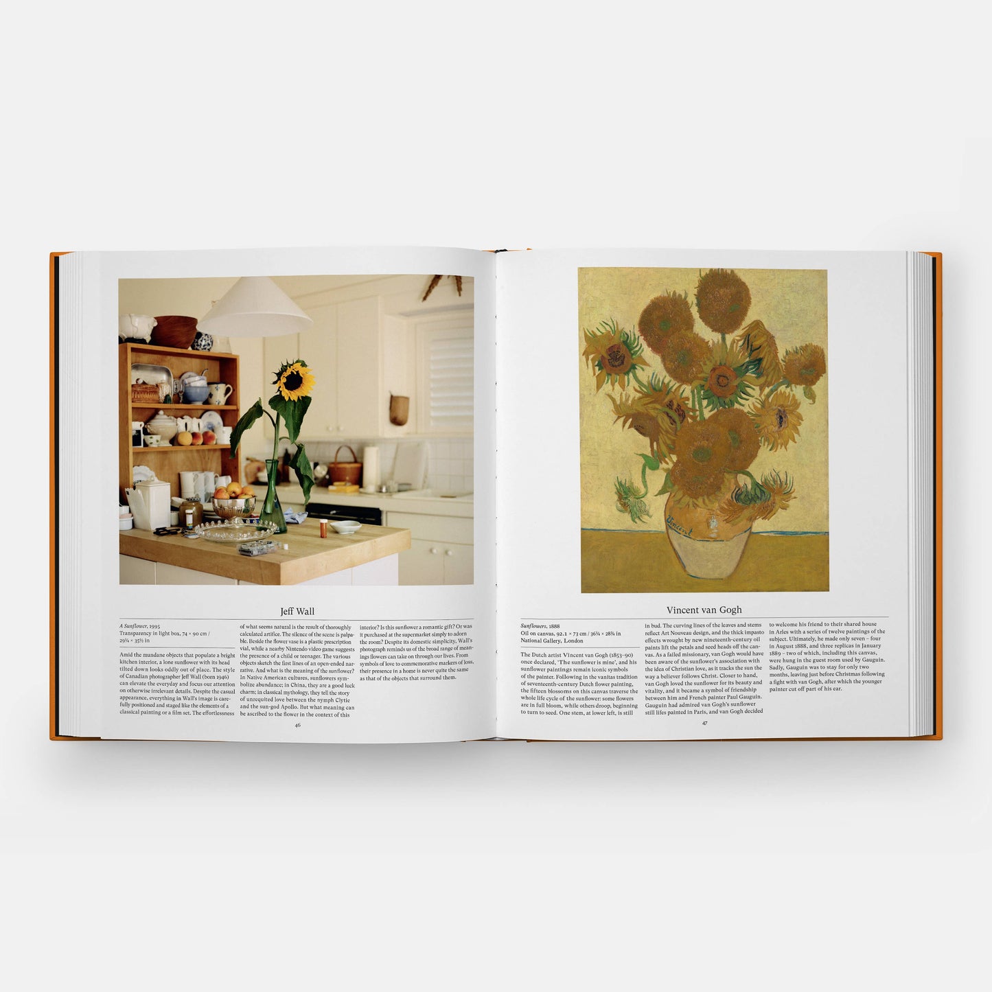 Phaidon - Flower: Exploring the World in Bloom, Compact Format - PMA Store at the Portland Museum of Art, Maine