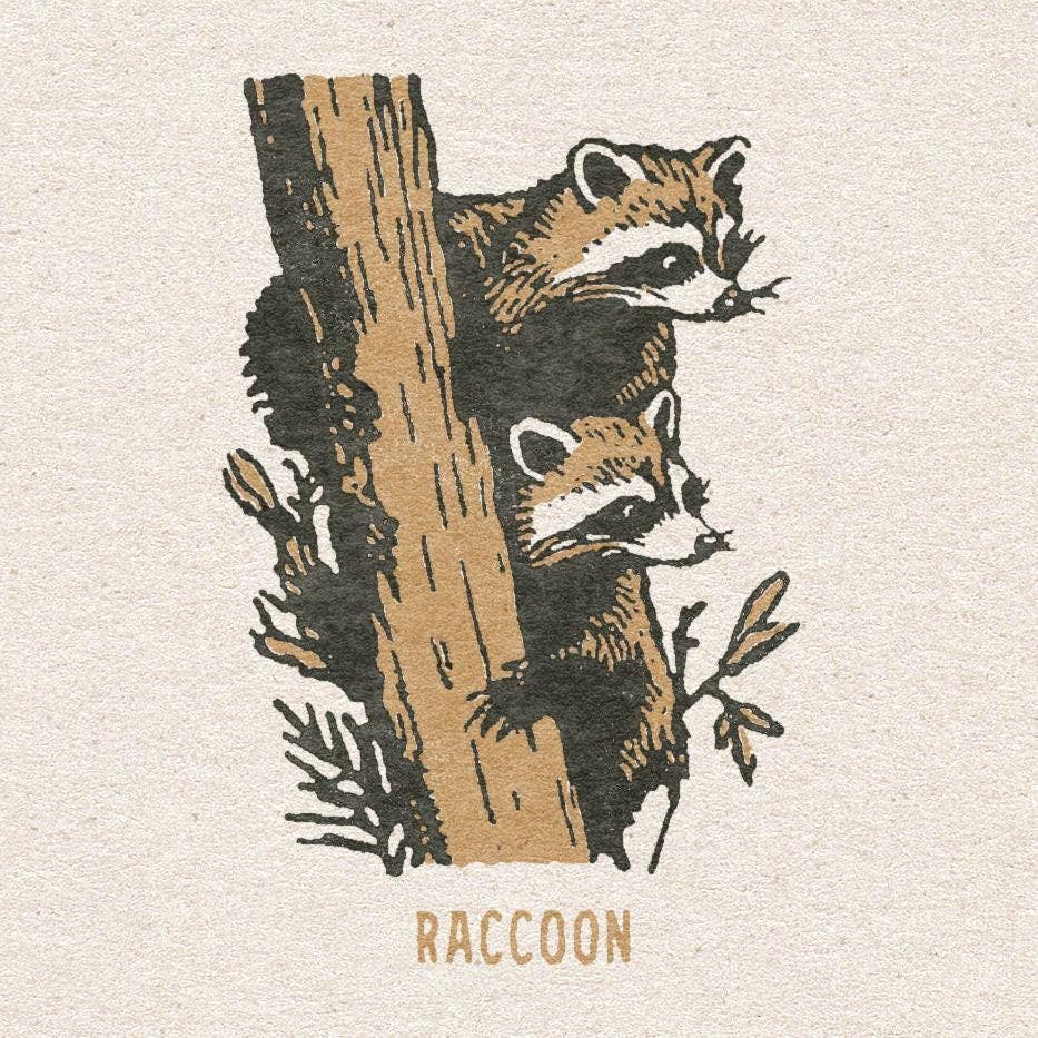 Benoit's Design Co. - Maine Wildlife Print: Unframed 8x10 Print - PMA Store at the Portland Museum of Art, Maine
