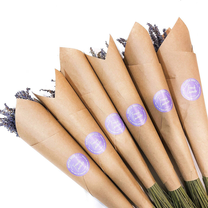 Seattle Seed Co. - Fragrant Dried Grosso French Lavender Flowers Home Decor: Long Stems - PMA Store at the Portland Museum of Art, Maine