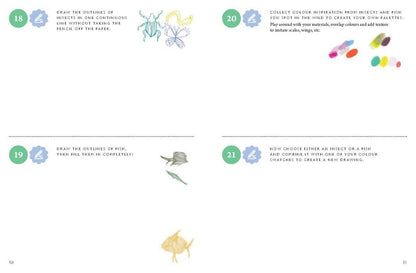 Chronicle Books - Drawing Nature: 100 Prompts, Projects and Playful Exercises - PMA Store at the Portland Museum of Art, Maine