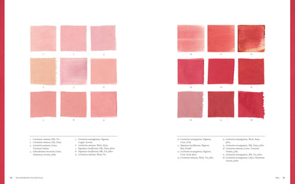 Chronicle Books - Mushroom Color Atlas - PMA Store at the Portland Museum of Art, Maine