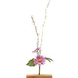 Aster Flower Object Art