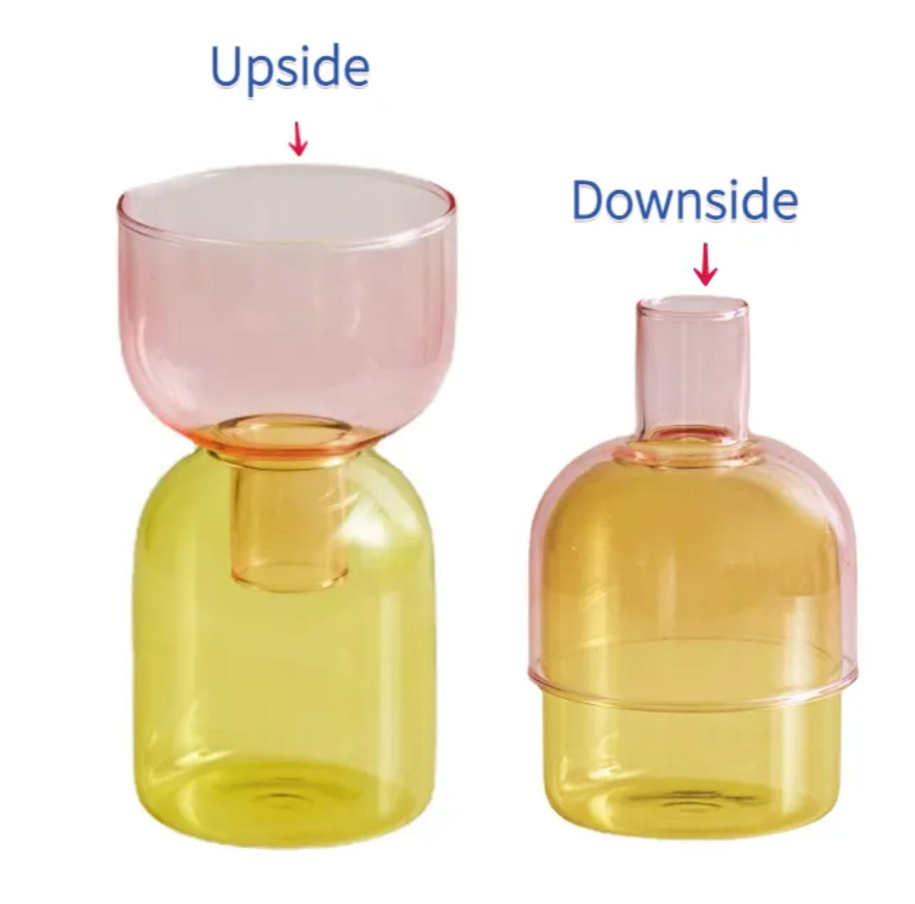 Two Way Terrarium Hydroponic Plant Vase / Candle Holder: Orange-Lilac - PMA Store at the Portland Museum of Art, Maine