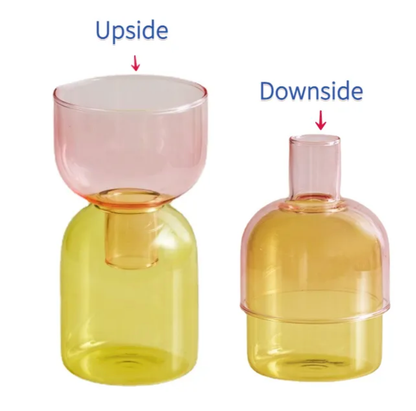 Two Way Terrarium Hydroponic Plant Vase / Candle Holder: Orange-Lilac - PMA Store at the Portland Museum of Art, Maine