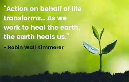 Braiding Sweetgrass Book. By Robin Wall Kimmerer. - PMA Store at the Portland Museum of Art, Maine