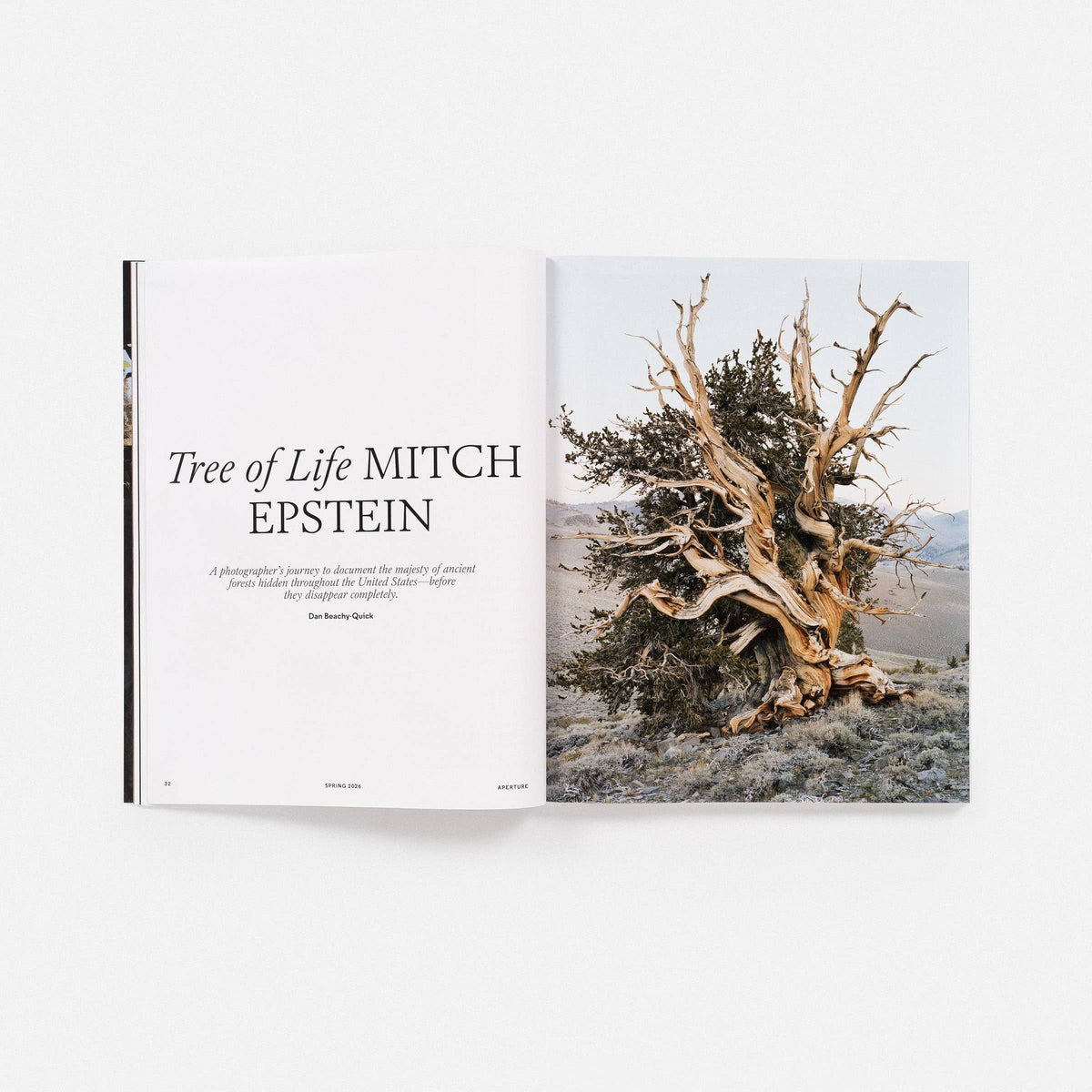 Aperture - The End of Nature?: Aperture No. 262, Spring 2026