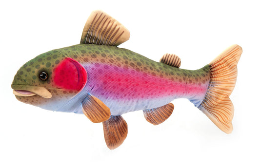 River Fish Rainbow Trout Medium 21" (53cm) - PMA Store at the Portland Museum of Art, Maine