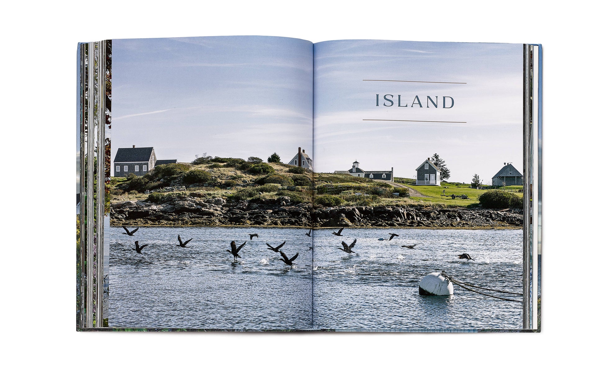 Abrams - The Maine House II - PMA Store at the Portland Museum of Art, Maine