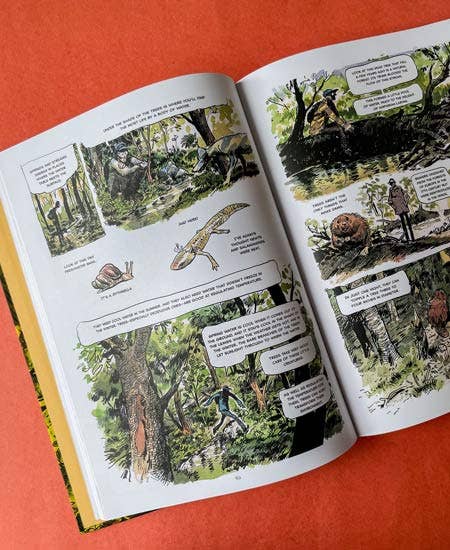 The Hidden Life of Trees: A Graphic Adaptation. Hardcover - PMA Store at the Portland Museum of Art, Maine