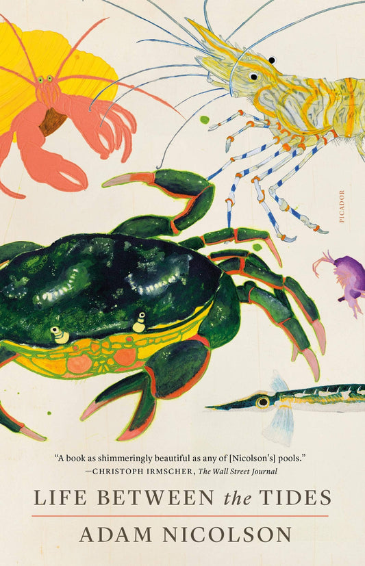 Macmillan Publishers - Life Between The Tides - PMA Store at the Portland Museum of Art, Maine