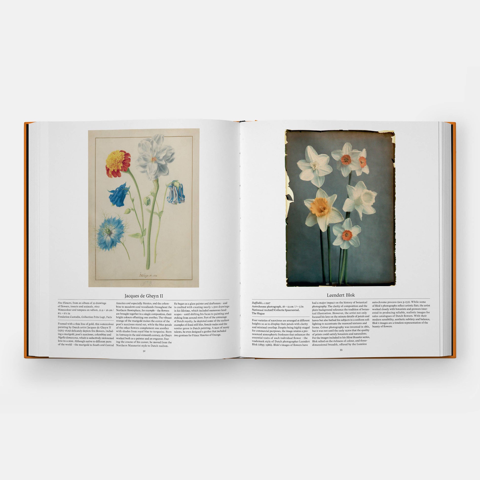 Phaidon - Flower: Exploring the World in Bloom, Compact Format - PMA Store at the Portland Museum of Art, Maine