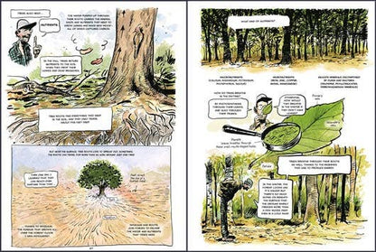 The Hidden Life of Trees: A Graphic Adaptation. Hardcover - PMA Store at the Portland Museum of Art, Maine