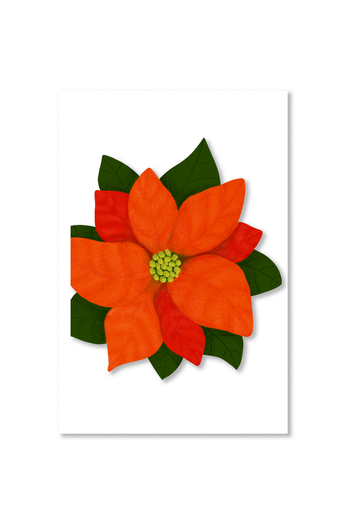 Avery Reed - Poinsetta Die-Cut Greeting Card
