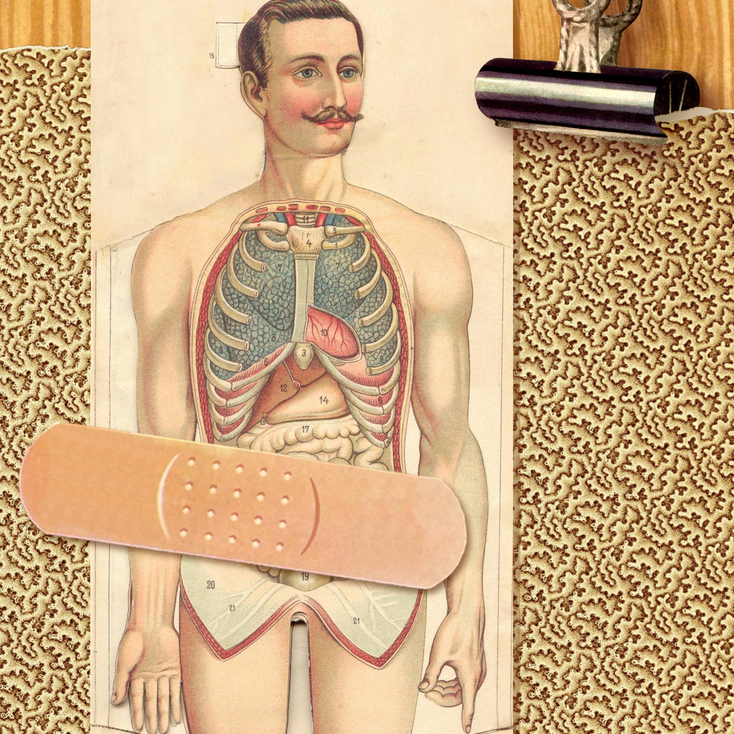 “Post-op” (abdomen/gentleman) get-well card: Recycled white envelopes - PMA Store at the Portland Museum of Art, Maine