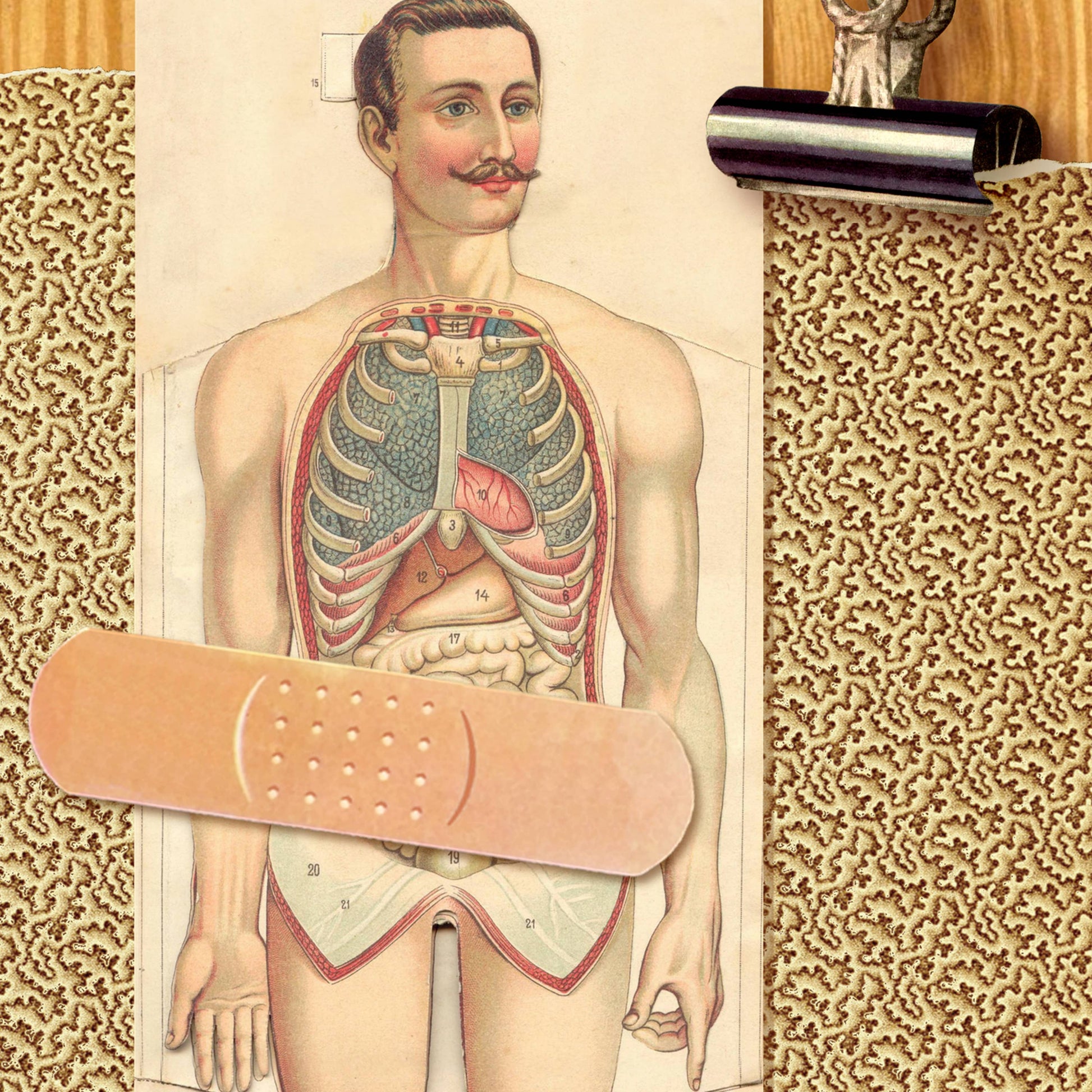 “Post-op” (abdomen/gentleman) get-well card: Recycled white envelopes - PMA Store at the Portland Museum of Art, Maine