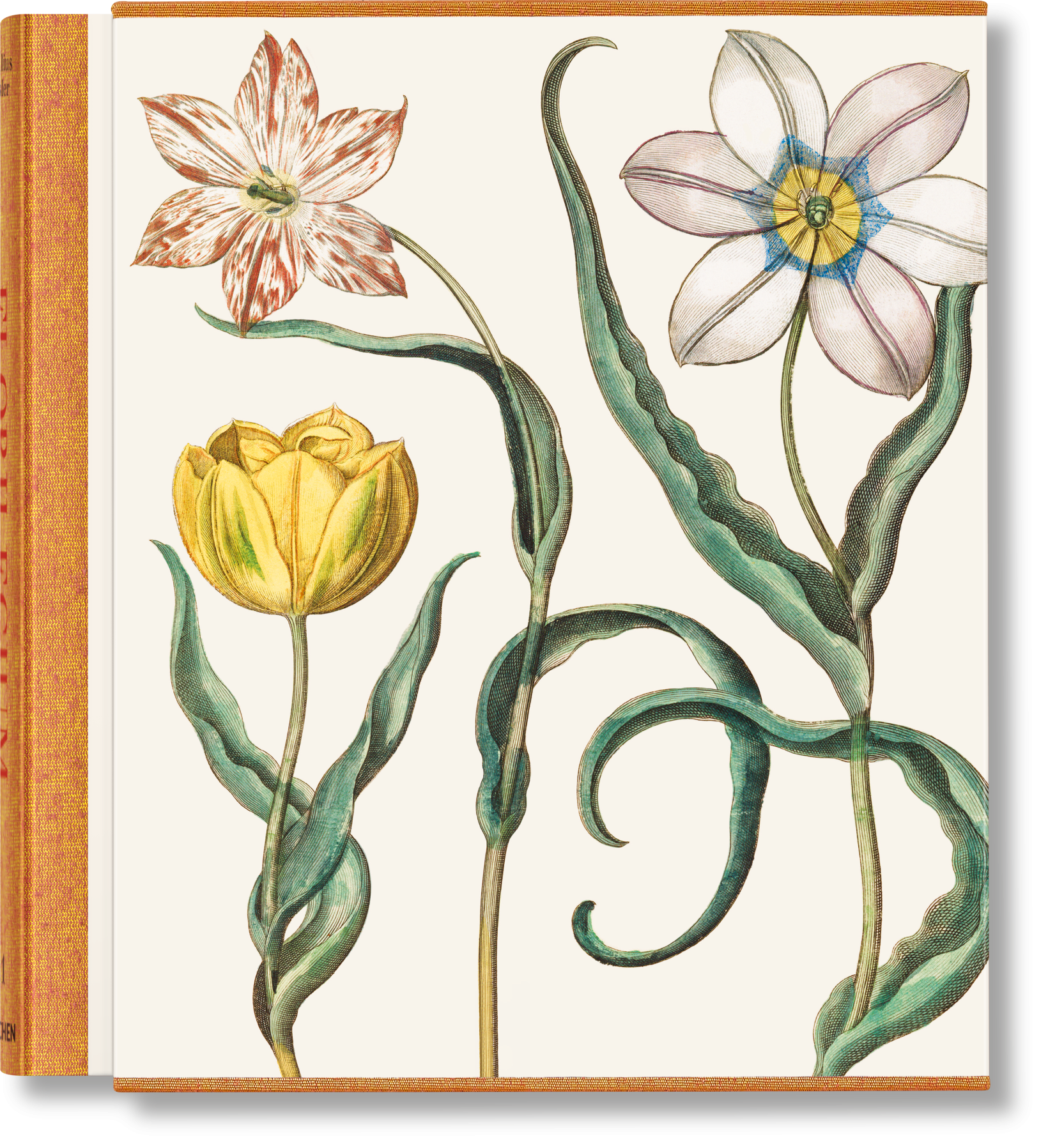 TASCHEN America - Basilius Besler. The Garden at Eichstätt (German, French, English) (FFE) - PMA Store at the Portland Museum of Art, Maine